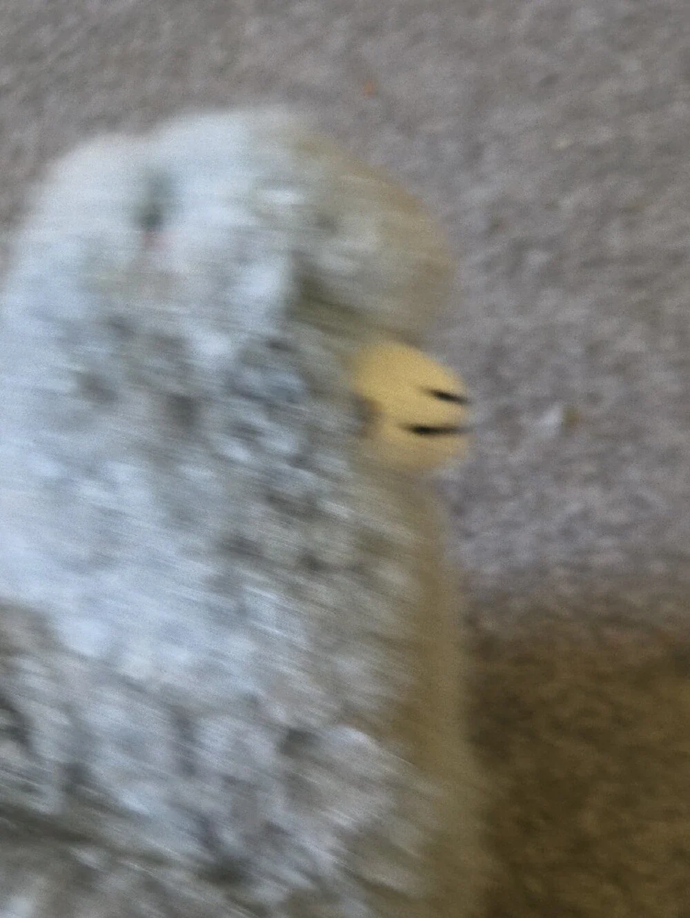 Plush Alpaca Plushie in Soft Gray